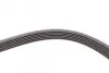 Ремень генератора VW Golf IV/Passat 1.4/1.6FSI 03-16/Toyota Auris/Avensis 1.4-1.8 03-12 Contitech 6PK1733 (фото 4)