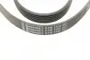 Ремень генератора Peugeot 206/406/806/Expert/Fiat Scudo/Citroen C5/C8/Jumpy 1.9D/2.0HDI 95- Contitech 6PK1740 (фото 3)