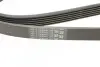 Ремень генератора Peugeot 206/406/806/Expert/Fiat Scudo/Citroen C5/C8/Jumpy 1.9D/2.0HDI 95- Contitech 6PK1740 (фото 4)