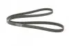 Ремень генератора Peugeot 206/406/806/Expert/Fiat Scudo/Citroen C5/C8/Jumpy 1.9D/2.0HDI 95- Contitech 6PK1740 (фото 5)
