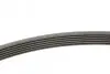 Ремень генератора Peugeot 206/306/4007/406/4007/Citroen C5 1.9TD/2.0/2.2HDI 96-/Ford Galaxy 2.2 08- Contitech 6PK1743 (фото 2)