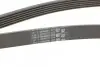 Ремень генератора Peugeot 206/306/4007/406/4007/Citroen C5 1.9TD/2.0/2.2HDI 96-/Ford Galaxy 2.2 08- Contitech 6PK1743 (фото 3)