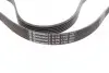 Ремень генератора Renault Clio/Laguna/Megane 1.4/1.6 97-05/Ford Fiesta 1.25/1.4 95-02 Contitech 6PK1750 (фото 3)