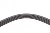 Ремень генератора Renault Clio/Laguna/Megane 1.4/1.6 97-05/Ford Fiesta 1.25/1.4 95-02 Contitech 6PK1750 (фото 4)