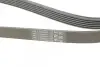 Ремінь генератора VW T4 2.4D/2.5TDI 90-03/Ford Fiesta 1.25-1.6 95-02 Contitech 6PK1767 (фото 3)