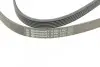 Ремінь генератора VW T4 2.4D/2.5TDI 90-03/Ford Fiesta 1.25-1.6 95-02 Contitech 6PK1767 (фото 4)