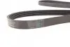 Ремінь генератора BMW 3 (E90) 3.2D 07-11/ Ford Transit 2.13 16V/Renault Laguna 2.2 dCi 01- Contitech 6PK1780 (фото 3)