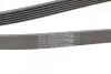 Ремень генератора Opel Combo/Astra/Vectra/Omega 1.2-2.2 91-03/BMW 1 (E81/E87) 2.0D 04-11 Contitech 6PK1800 (фото 3)