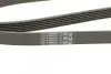 Ремень генератора Renault Trafic 1.9dCi 01-/Opel Insignia 2.0CDTi 14-/Honda Civic 1.3 06- Contitech 6PK1830 (фото 4)