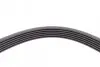 Ремінь генератора Mazda 2/3 1.3-1.6 07-/Toyota Corolla 1.4/1.6 99-02 Contitech 6PK1840 (фото 4)