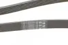 Ремень генератора Toyota Corolla 1.6/1.8 04-09/BMW 3 (E46/E90)/X1 (E84) 1.6/2.0 01-15 Contitech 6PK1870 (фото 3)