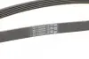 Ремень генератора Audi A4/A6/A8 2.4/2.6/2.8 95- Contitech 6PK1880 (фото 3)