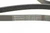 Ремень генератора Ford Focus 1.4/1.6 16V 98-04 Contitech 6PK1915 (фото 4)