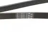 Ремень генератора Ford Transit 2.0 94-/Connect 1.8 16V 02- ALT, (-AC) Contitech 6PK1973 (фото 3)