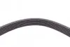 Ремень генератора BMW 3 (E90)/5 (E60)/7 (E65/E66/E67)/X5 (E70) 04-11 Contitech 6PK1990 (фото 4)
