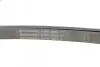 Ремень генератора VW Crafter 2.5TDI 06-13/MB C-class (W204)/E-class (W212) 2.2CDI 09-15 Contitech 6PK2000 (фото 4)