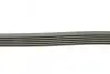Поликлиновый ремень MERCEDES-BENZ W164 ML 300 CDI 02/10-12/11 (Выр-во) Contitech 6PK2035 (фото 2)