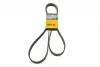 Ремінь генератора MB C-class (W202) 93-01/E-class (W124) 93-98/Ssangyong Korando 96-06/Dodge 06- Contitech 6PK2040 (фото 1)