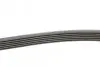 Ремінь генератора MB C-class (W202) 93-01/E-class (W124) 93-98/Ssangyong Korando 96-06/Dodge 06- Contitech 6PK2040 (фото 2)