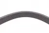 Ремень генератора MB C-class (W203) 00-02/E-class (W212) 11-15/S-class (W221) 11-13/Sprinter 2.9 Contitech 6PK2135 (фото 4)