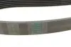 Ремень генератора MB C-class (W202/W204)/E-class (W210/W212)/S-class (W221) 1.8/2.2 94-14 Contitech 6PK2155 (фото 3)
