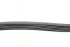 Ремінь генератора MB C-class (W203) 00-08 Contitech 6PK2190 (фото 2)