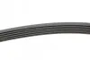 Ремінь генератора VW T4 2.5TDI/LT 2.3 96-06/MB C-class (W204) 3.5 11-/V-class (W639) 2.2CDI 10- Contitech 6PK2215 (фото 2)