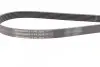 Ремінь генератора VW T4 2.5 90-03/Ford Fiesta/Mondeo 1.8/2.0 00-08/Jeep Cherokee 3.7 01-08 Contitech 6PK2225 (фото 2)