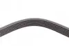 Ремінь генератора VW T4 2.5 90-03/Ford Fiesta/Mondeo 1.8/2.0 00-08/Jeep Cherokee 3.7 01-08 Contitech 6PK2225 (фото 3)