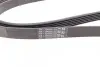Ремень генератора MB W202/211 2.0/2.2/2.7CDI Contitech 6PK2241 (фото 3)