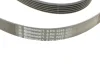 Ремень генератора MB W202/211 2.0/2.2/2.7CDI Contitech 6PK2245 (фото 3)