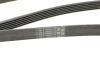 Ремень генератора MB W202/211 2.0/2.2/2.7CDI Contitech 6PK2245 (фото 4)
