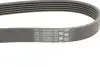 Ремень генератора MB C-class (W202)/E-class (W211) 2.2CDI/2.7CDI 98-09 Contitech 6PK2250 (фото 3)