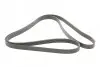 Ремень генератора MB C-class (W202)/E-class (W211) 2.2CDI/2.7CDI 98-09 Contitech 6PK2250 (фото 5)