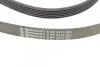 Ремінь генератора W202/210 M112/113 97> (WP,PS) Contitech 6PK2310 (фото 3)