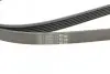 Ремінь генератора W202/210 M112/113 97> (WP,PS) Contitech 6PK2310 (фото 4)
