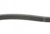 Ремень генератора MB W124/S124 M104-96 Contitech 6PK2330 (фото 2)