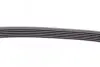 Ремень генератора MB W124/W164 Contitech 6PK2360 (фото 4)