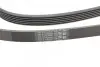 Ремень генератора Audi A4/A6/A8/Q7 2.7/3.0TDI 04- Contitech 6PK2490 (фото 3)