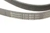 Ремень генератора Jeep Cherokee/Liberty 2.5CRD/2.8 CRD 01- Contitech 6PK2870 (фото 4)