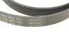 Ремень генератора Jeep Cherokee/Liberty 2.5CRD/2.8 CRD 01- Contitech 6PK2870 (фото 5)