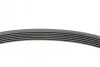 Ремень генератора Seat Ibiza/Skoda Fabia/Rapid/Citigo/VW Polo/Up 1.0/1.6 14-(-AC) Contitech 6PK701 ELAST (фото 2)