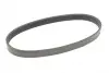 Ремень генератора Seat Ibiza/Skoda Fabia/Rapid/Citigo/VW Polo/Up 1.0/1.6 14-(-AC) Contitech 6PK701 ELAST (фото 5)