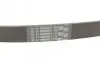 Ремень генератора VW Caddy/Golf/Polo/Passat 1.0-1.4TSI 15-/Audi A3/Q3 1.0-1.4TFSI 13- Contitech 6PK745 (фото 3)