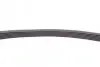 Ремень генератора Toyota Auris/Yaris 1.33VVTi 08-12/Nissan Micra 1.0/1.3 92-00 Contitech 6PK884 (фото 4)
