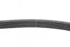 Ремінь генератора Toyota Auris/ Yaris 1.33 09-12/Audi 80/A6 1.9TDI 91-07/Nissan Maxima 2.0/3.0 95-00 Contitech 6PK890 (фото 2)