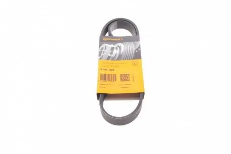 Ремінь генератора VW Caddy/Golf/Skoda Octavia 1.6/2.0 04-15/Fiat Ducato 2.5TDI 94-02/Scudo 1.6 96-06 Contitech 6PK900