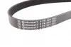 Ремень генератора VW T4/Caddy 1.9D/TD 90-03/Toyota Corolla/Auris 1.4D 06-14/Kia Rio 1.25 17- Contitech 6PK923 (фото 2)