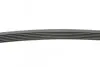 Ремінь генератора Peugeot Partner/307/508 02-/Citroen Berlingo/C2/C3/C4/C5 1.6 HDi 04- Contitech 6PK976 (фото 2)