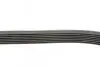 Ремень генератора Renault Megane/Scenic 1.9dCi/2.0 03-/Nissan Juke 1.6 10- Contitech 7PK1125 (фото 2)